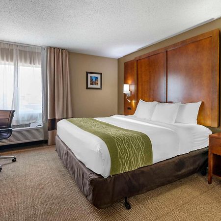 Comfort Inn Romeoville - Bolingbrook Ngoại thất bức ảnh